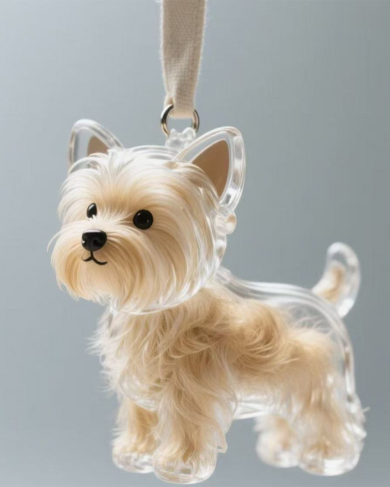 Hundehår Minne Sak Nøkkelring Minnekapsel Anheng