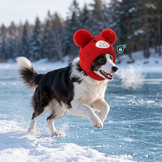 Skjerf Og Lue Sett Stor Hund Strikket Ører