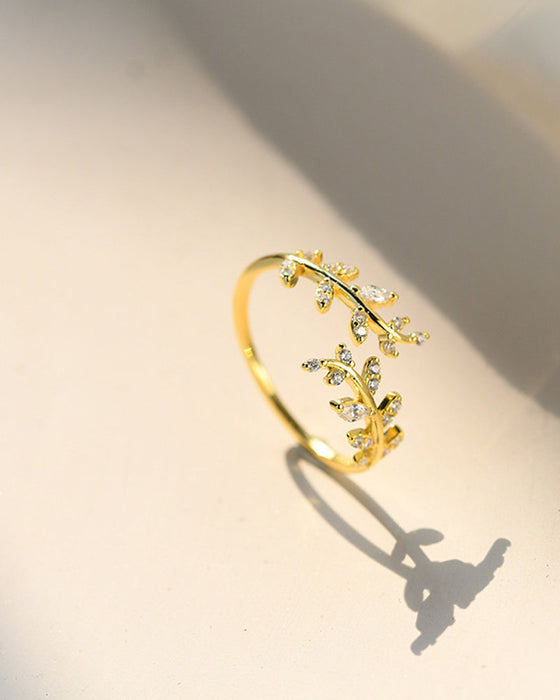 Dameringer Mote utendørs bladring